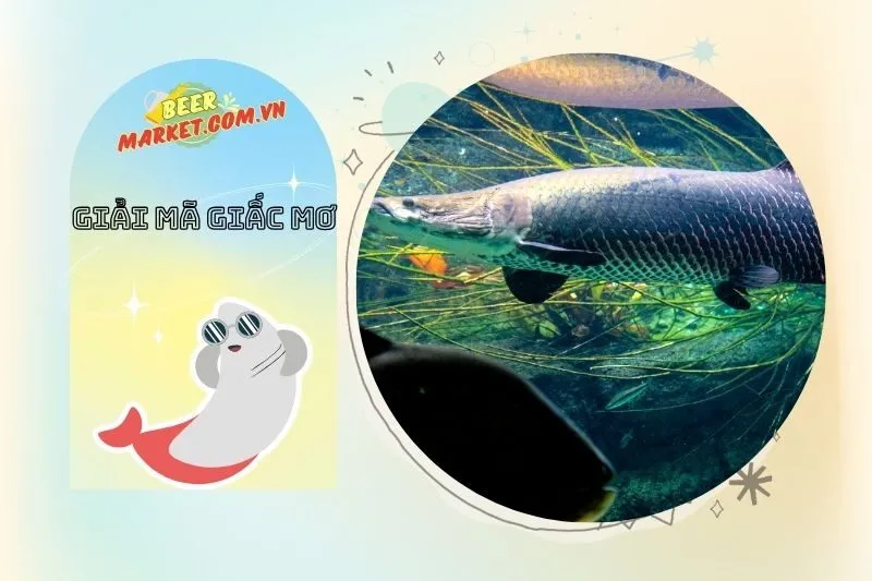 Ảnh Hưởng Của Giấc Mơ Thấy Cá Hải Tượng Đến Cuộc Sống Hằng Ngày