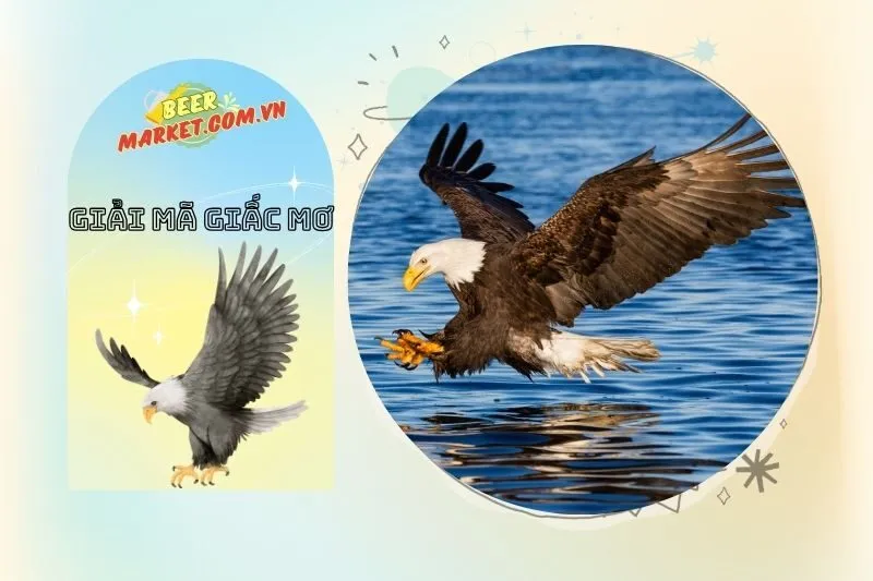 Biểu tượng và vai trò của chim đại bàng trong cuộc sống và văn hóa
