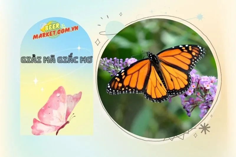 Bướm và những biểu tượng tâm linh trong giấc mơ