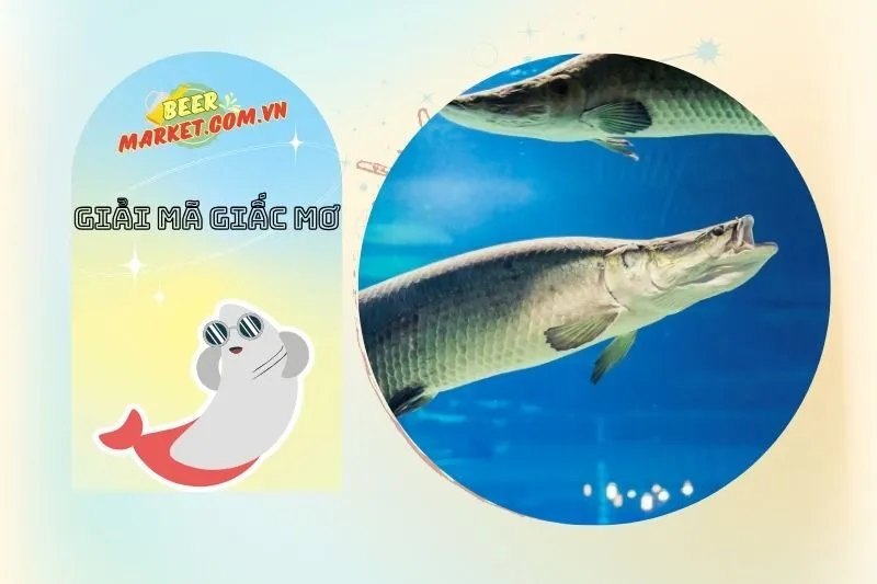 Các Con Số May Mắn Liên Quan Đến Giấc Mơ Thấy Cá Hải Tượng