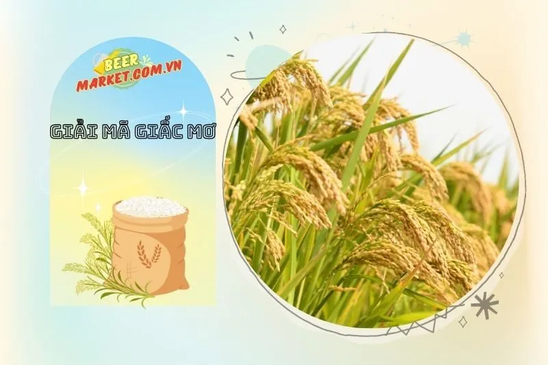 Các giấc mơ khác liên quan đến gạo và tác động đến cuộc sống