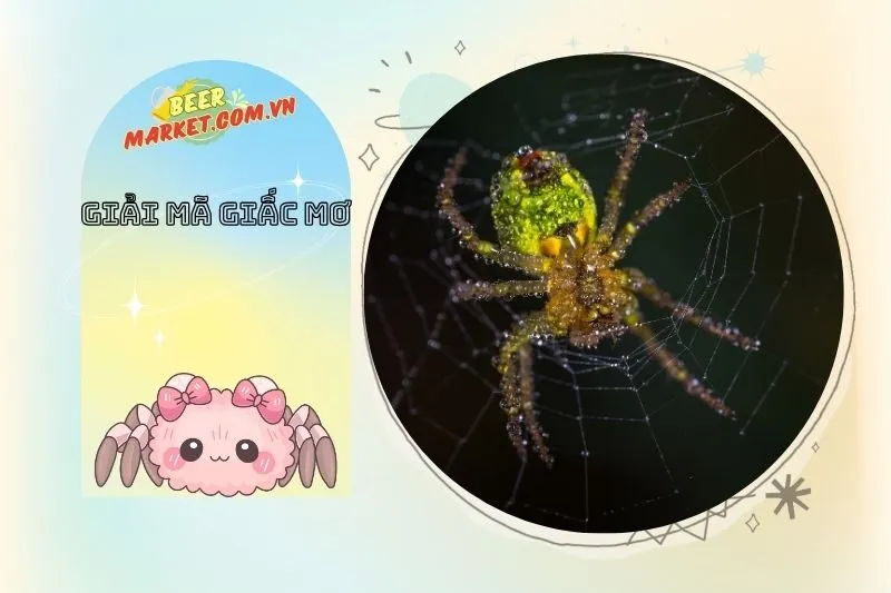 Các Giải Pháp và Cách Đối Phó Khi Mơ Thấy Nhện