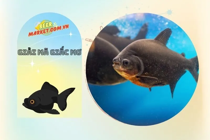 Các loại cá đen trong giấc mơ và ý nghĩa của chúng