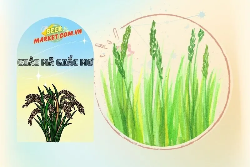 Các Loại Giấc Mơ Nằm Mơ Thấy Lúa và Điềm Báo Cụ Thể