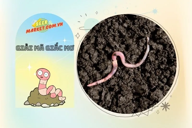 Các Loại Giấc Mơ Về Giun Đất Và Ý Nghĩa Của Chúng