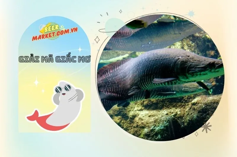 Cách Chọn Con Số Phù Hợp Sau Khi Mơ Thấy Cá Hải Tượng