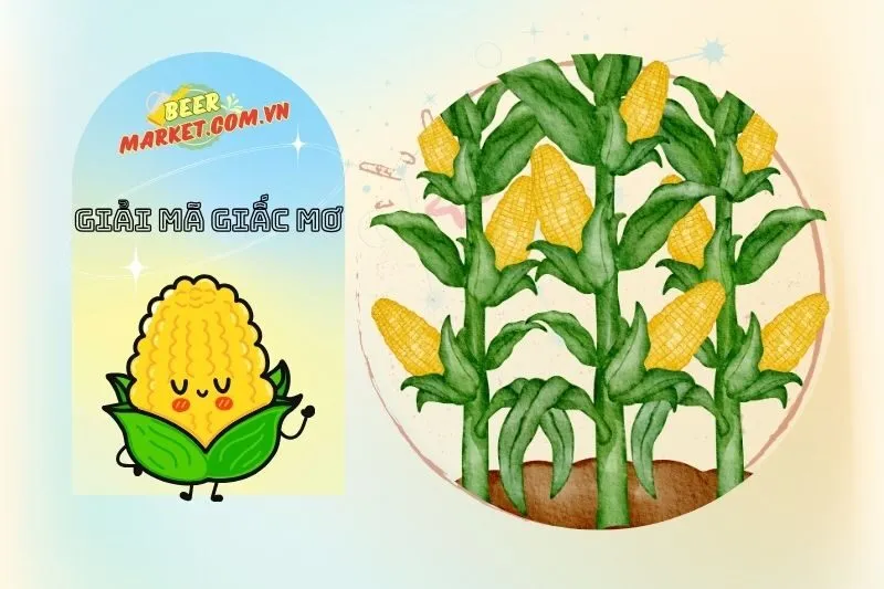 Cảnh báo từ giấc mơ bắp ngô héo