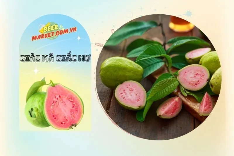 Con số may mắn khi nằm mơ thấy trái ổi