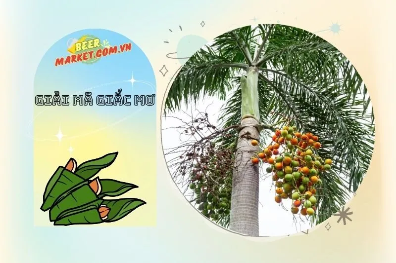 Con số may mắn liên quan đến giấc mơ thấy buồng cau