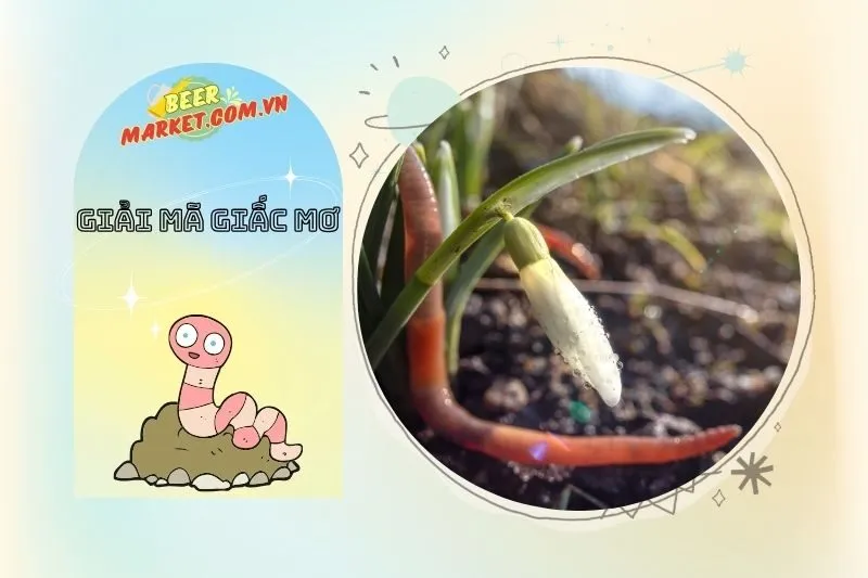 Con Số May Mắn Liên Quan Đến Giấc Mơ Thấy Giun Đất