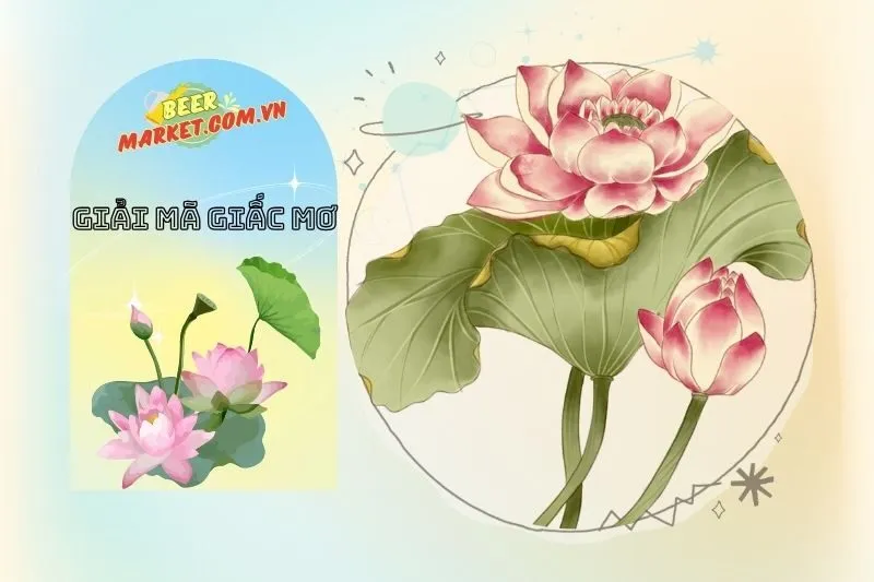 Con số may mắn liên quan đến giấc mơ thấy hoa sen