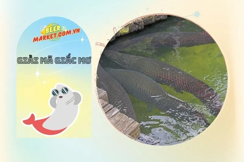 Điềm Báo Từ Giấc Mơ Nằm Mơ Thấy Cá Hải Tượng