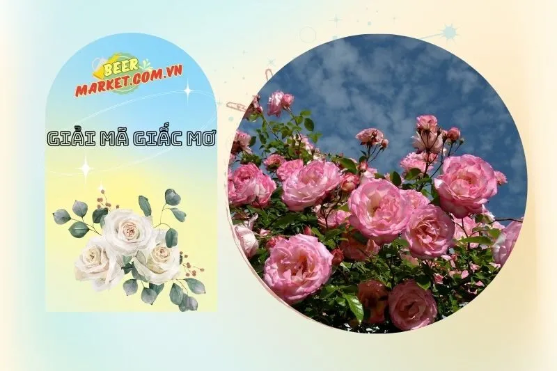 Điềm báo từ giấc mơ thấy cây hoa hồng