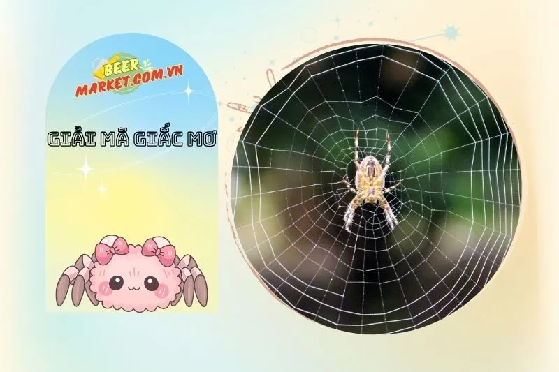 Điềm Báo Từ Giấc Mơ Thấy Nhện: Tốt Hay Xấu?