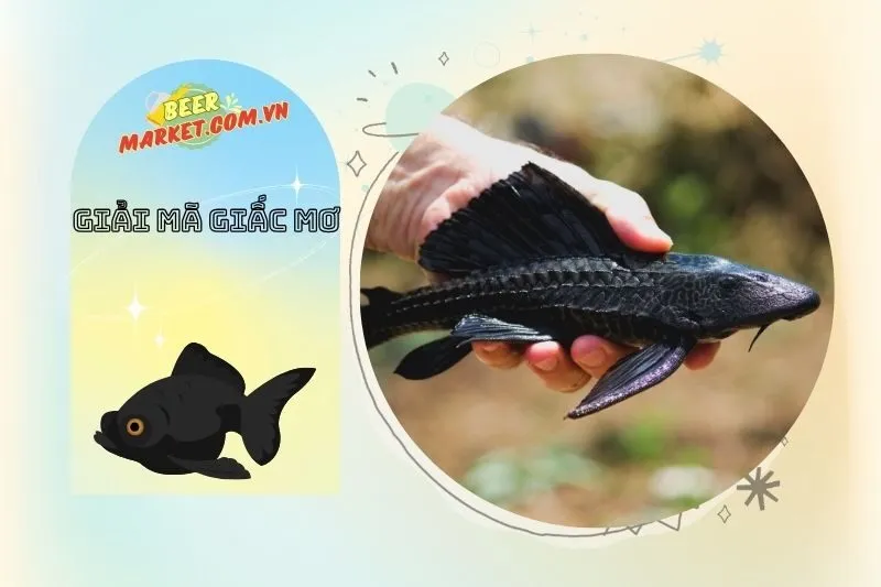 Dự đoán con số may mắn từ giấc mơ thấy cá đen