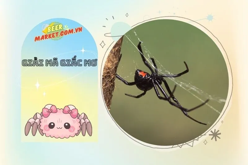 Giấc Mơ Nhện: Phân Tích Tâm Linh và Thần Bí