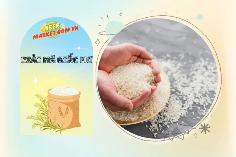 Giải mã các giấc mơ liên quan đến việc cho và nhận gạo