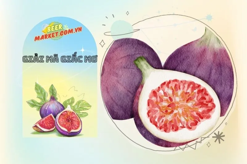 Giải mã chi tiết các câu hỏi về giấc mơ cây sung