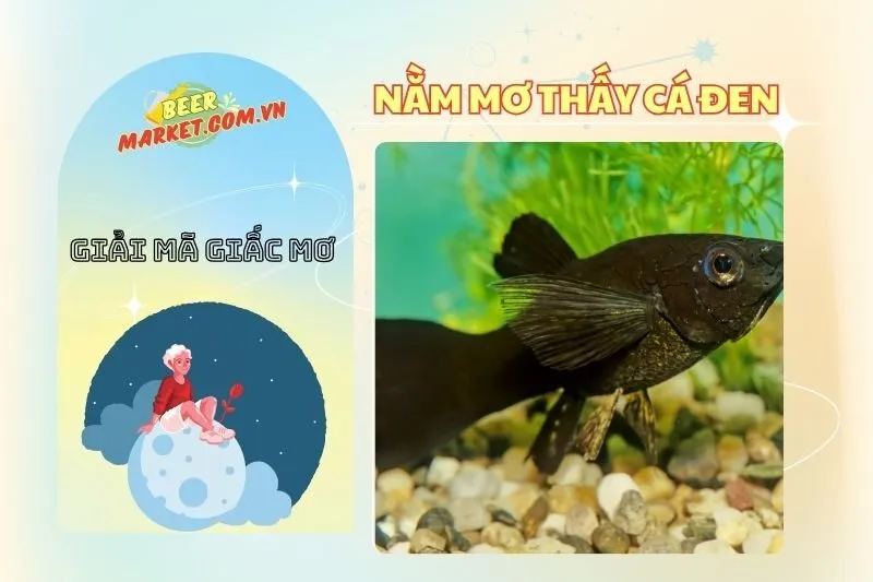 Giải Mã Nằm Mơ Thấy Cá Đen: Ý Nghĩa, Con Số May Mắn 2025