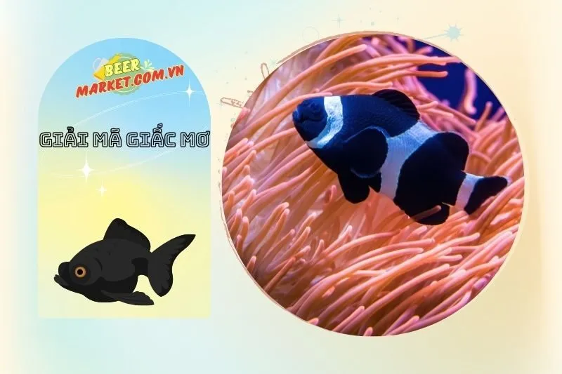 Giải mã nằm mơ thấy cá đen: Ý nghĩa và thông điệp