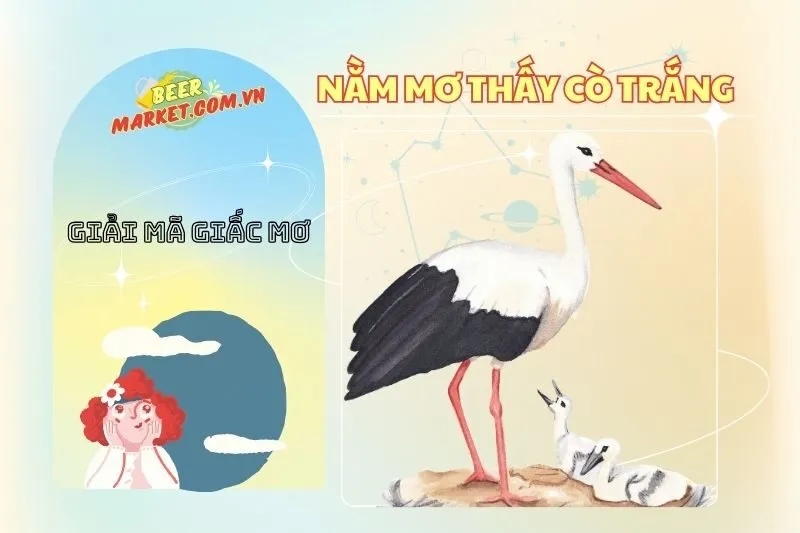 Giải Mã Nằm Mơ Thấy Cò Trắng: Ý Nghĩa Và Con Số May Mắn