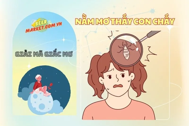 Giải Mã Nằm Mơ Thấy Con Chấy - Điềm Báo & Con Số May Mắn