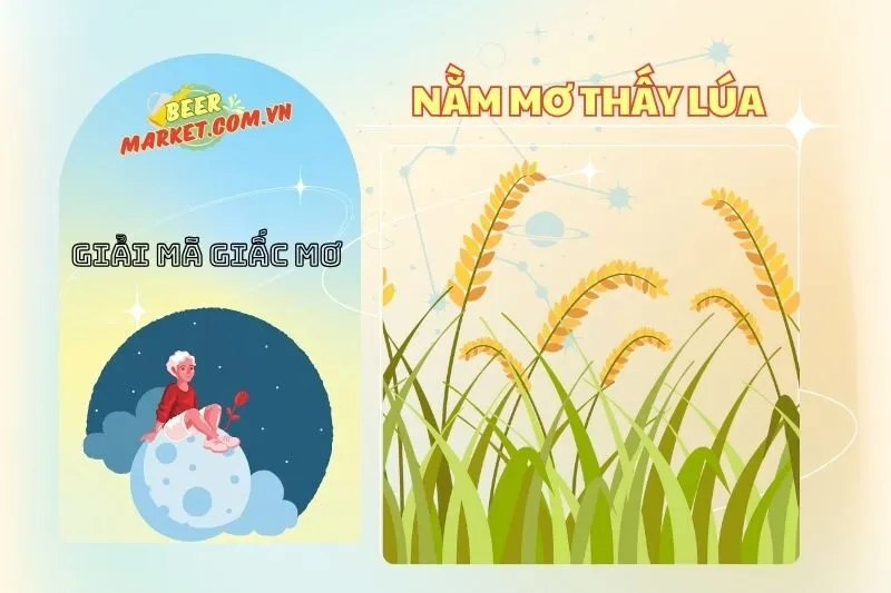 Giải Mã Nằm Mơ Thấy Lúa – Ý Nghĩa và Điềm Báo Từ Lúa 2025