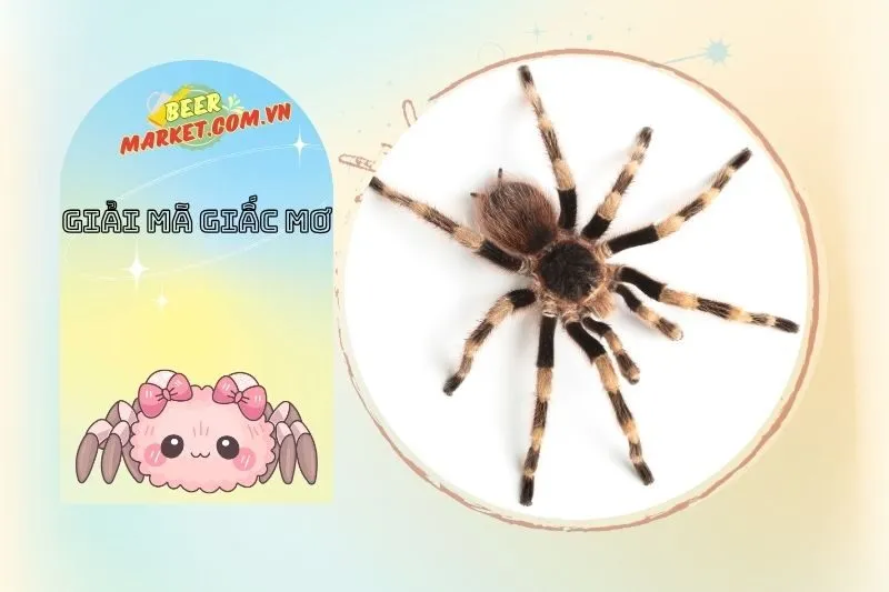 Giải Mã Nằm Mơ Thấy Nhện: Ý Nghĩa Tổng Quan