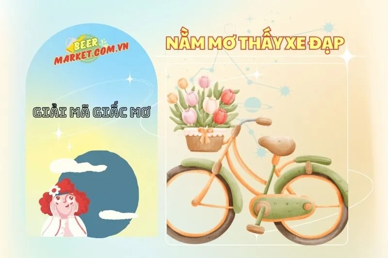Giải Mã Nằm Mơ Thấy Xe Đạp: Ý Nghĩa và Điềm Báo | Beer Market