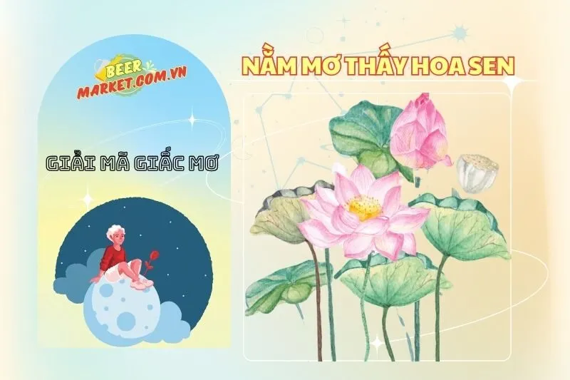 Giải mã ý nghĩa nằm mơ thấy hoa sen và điềm báo từ giấc mơ