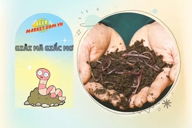 Giải Thích Các Điềm Báo Từ Giấc Mơ Thấy Giun Đất