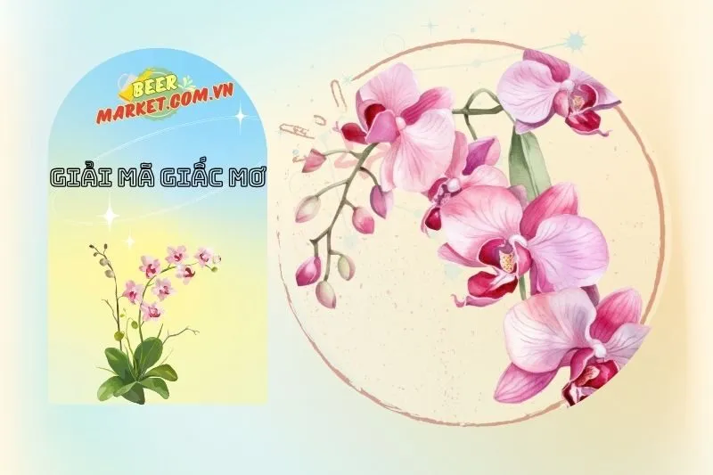 Hoa Lan Là Biểu Tượng Của Gì Trong Giấc Mơ?