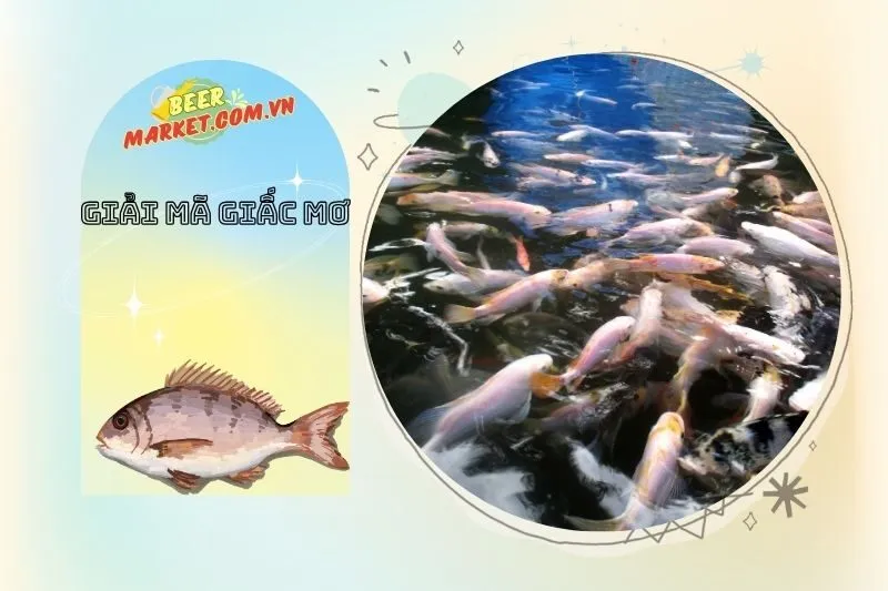 Làm gì khi mơ thấy cá rô?