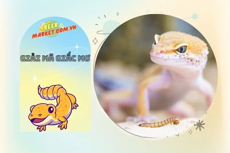 Làm thế nào để giải mã giấc mơ thấy tắc kè chính xác?