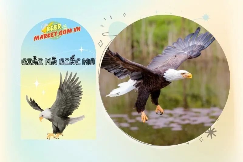 Làm thế nào để giải tỏa áp lực từ giấc mơ đại bàng