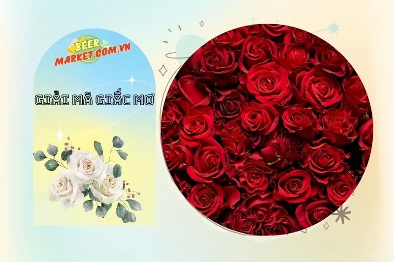 Liên hệ giữa giấc mơ thấy cây hoa hồng và cuộc sống thực