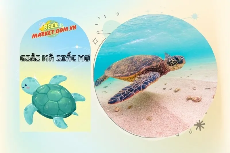 Lời khuyên khi gặp giấc mơ về ba ba