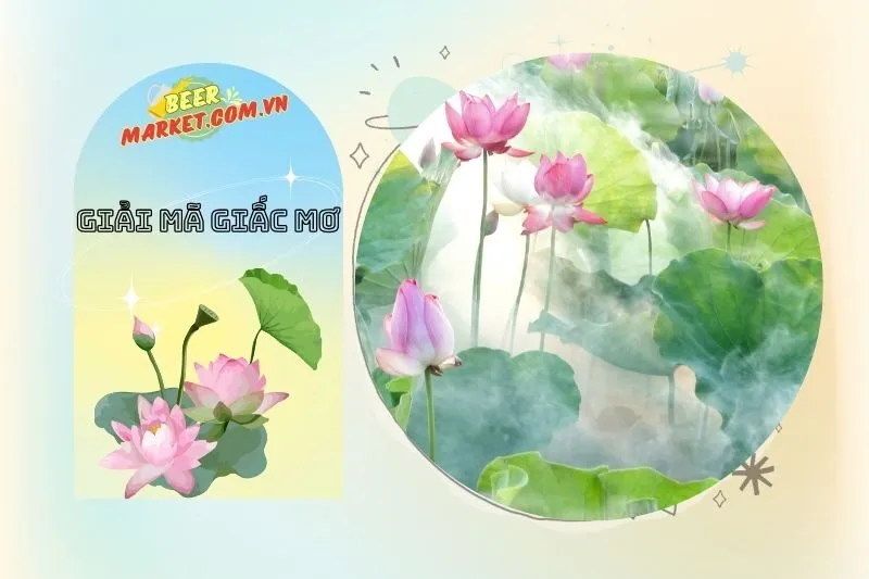 Lời khuyên khi mơ thấy hoa sen