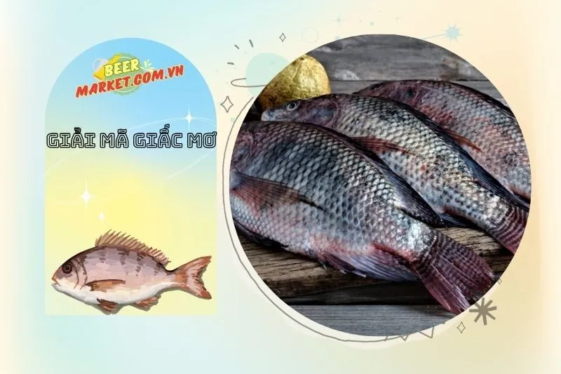 Mơ thấy cá rô đồng, cá rô phi báo hiệu điều gì?