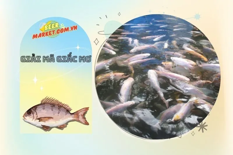 Mơ thấy cá rô và các khía cạnh trong cuộc sống