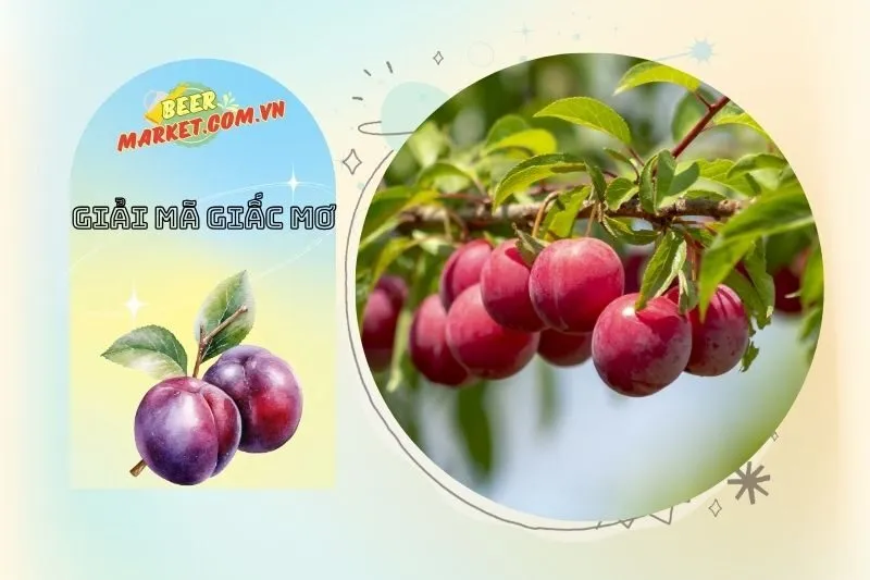 Mơ thấy cây mận bị gãy nhưng vẫn có trái