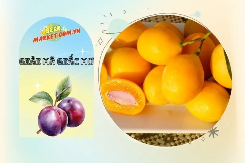 Mơ thấy cây mận với quả màu vàng