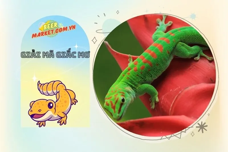 Mơ thấy tắc kè: Hên hay xui?