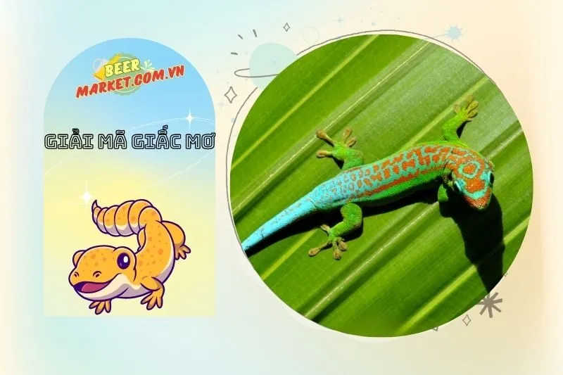 Mơ thấy tắc kè và mối liên hệ với cuộc sống