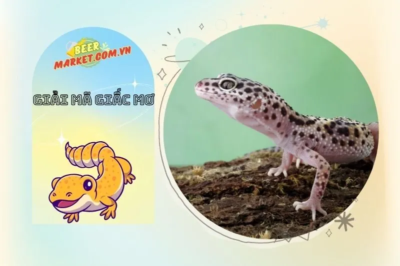 Mơ thấy tắc kè và những con số may mắn