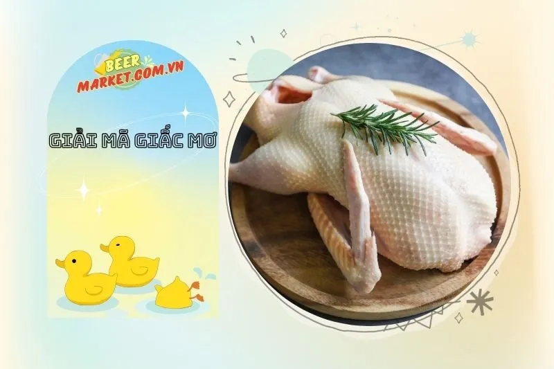 Mơ thấy vịt chết: Cảnh báo và những điều cần chú ý