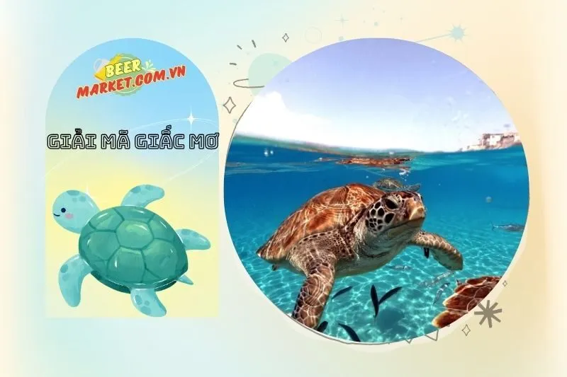 Mối liên hệ giữa giấc mơ và phong thủy