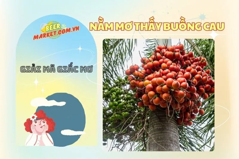Nằm Mơ Thấy Buồng Cau: Ý Nghĩa Tình Duyên, Sự Nghiệp 2025