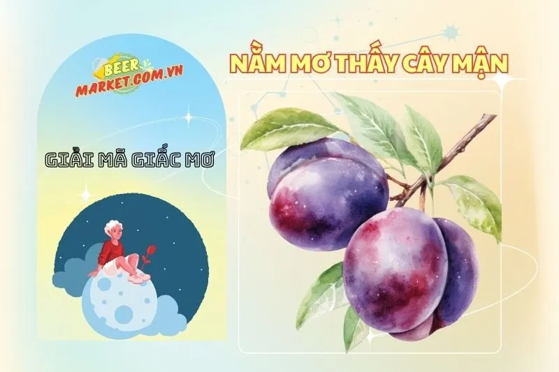 Nằm mơ thấy cây mận: Giải mã ý nghĩa và con số may mắn 2025