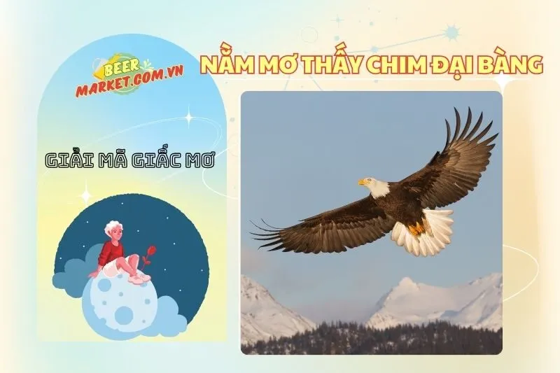 Nằm mơ thấy chim đại bàng: Giải mã ý nghĩa và điềm báo 2025